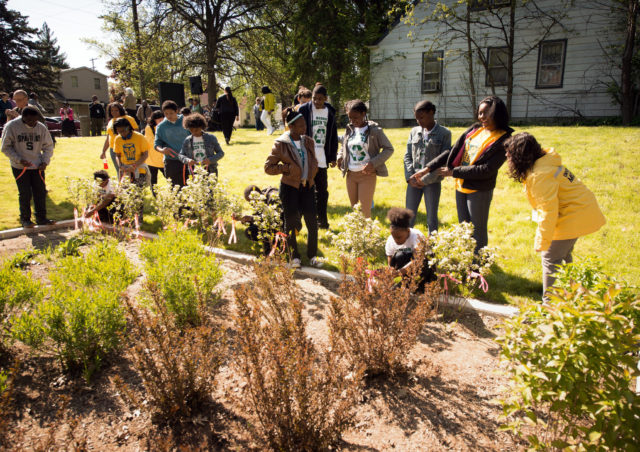 Bioretention Gardens in Detroit